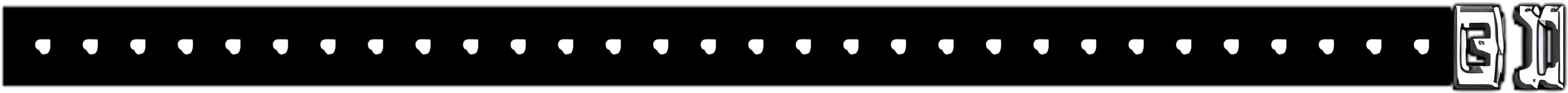 Belt2.png