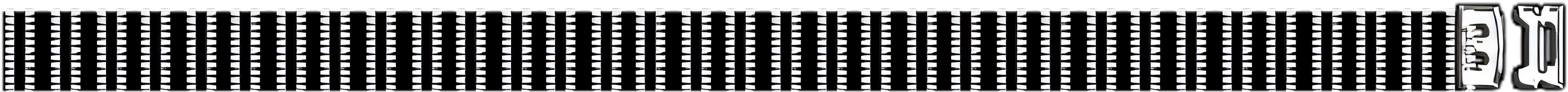 Belt10.png