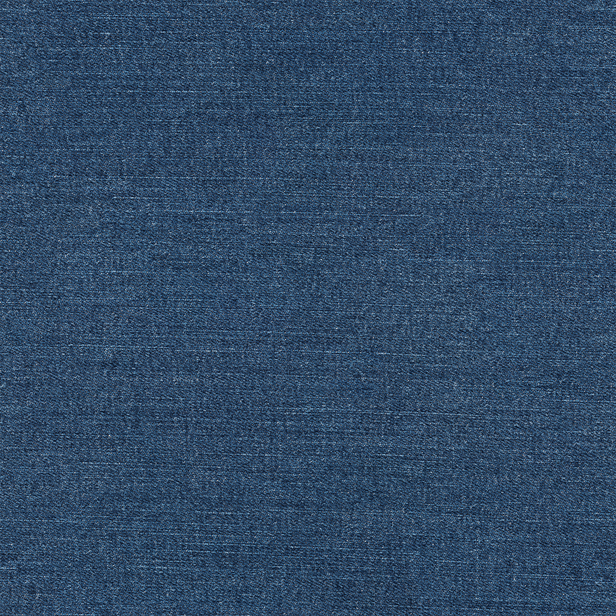Denim3.jpg