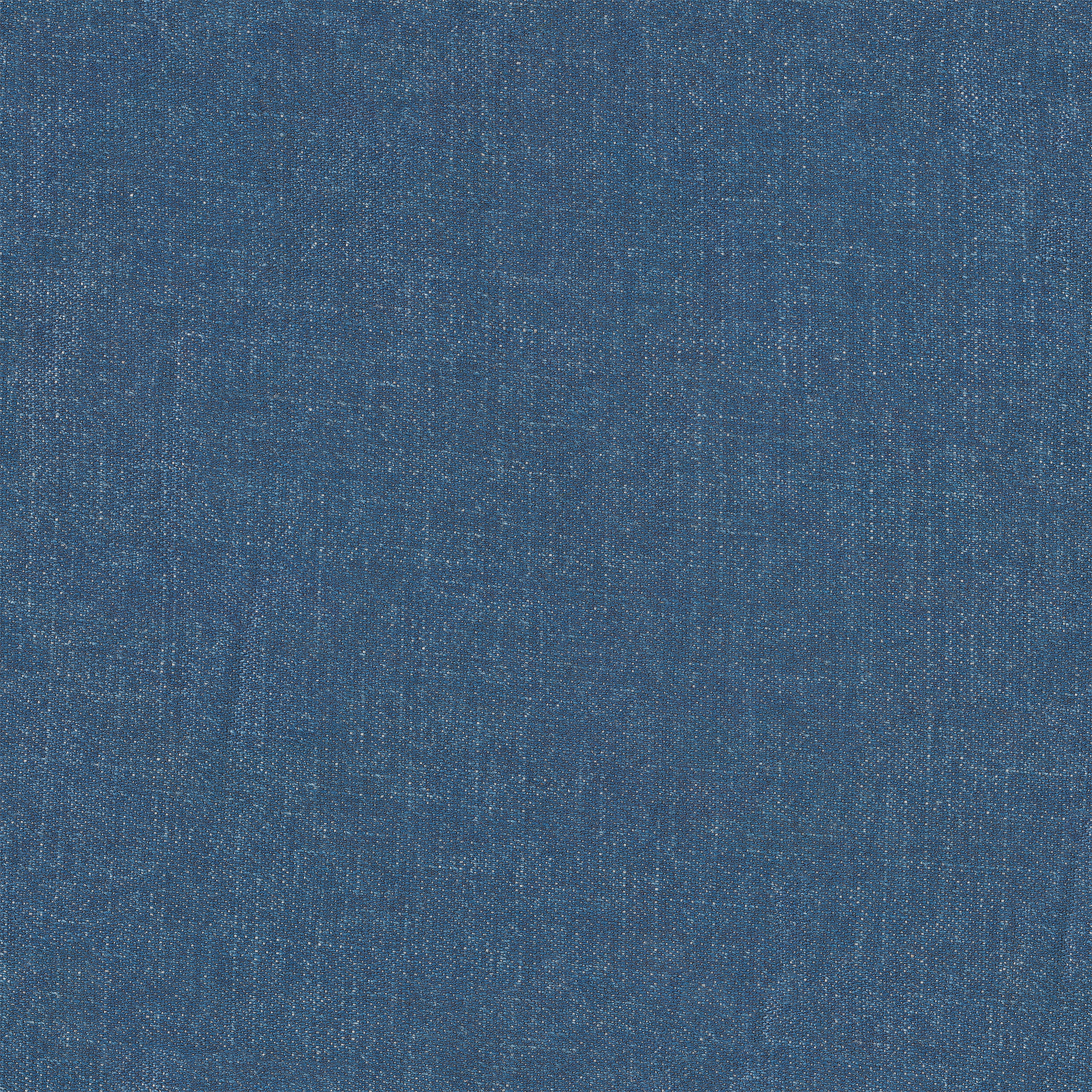 Denim1.jpg